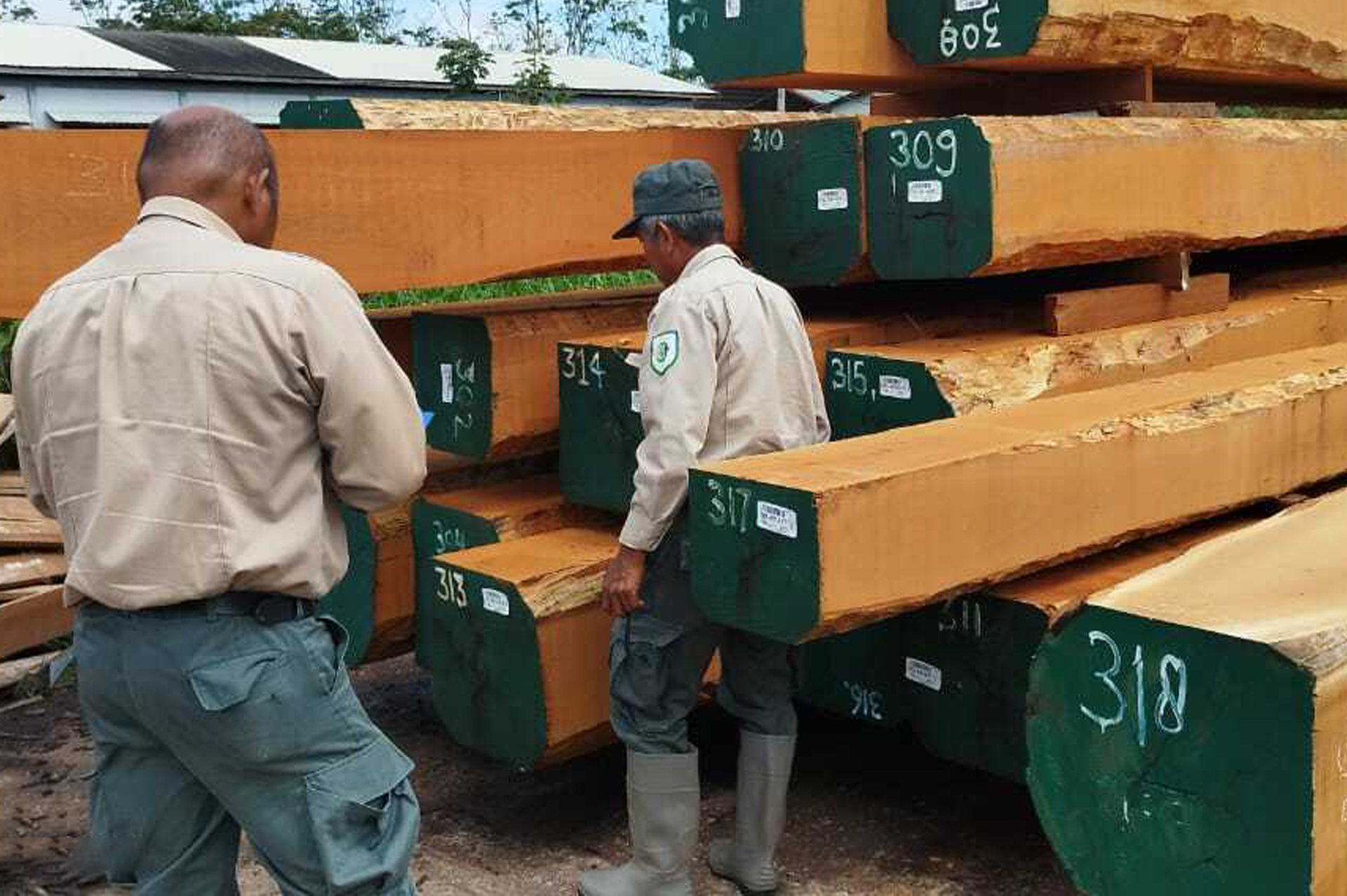 Timber sourcing