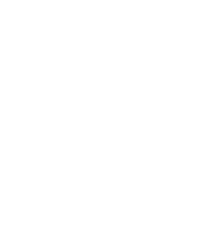 Tasman Group